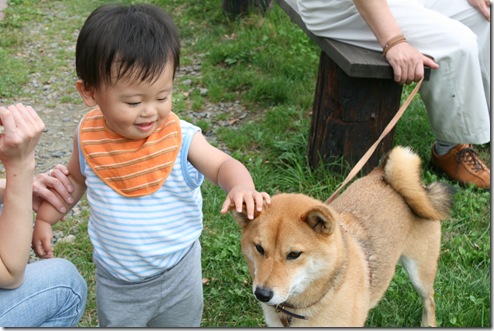 友人の息子のこうき君。犬が好きらしく、レイクヒルファームにいた柴犬を撫でてました。