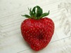 strawberry-glass-1